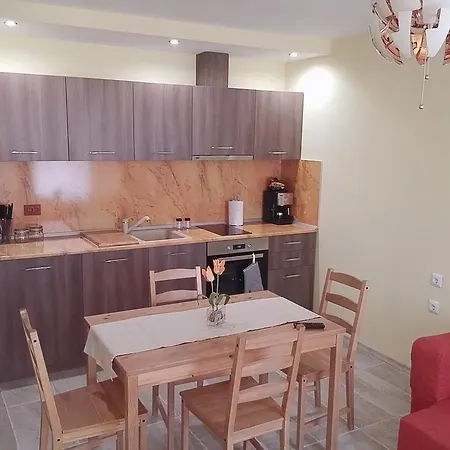 شقة Ecostar 12 Apartements روغاشيفو